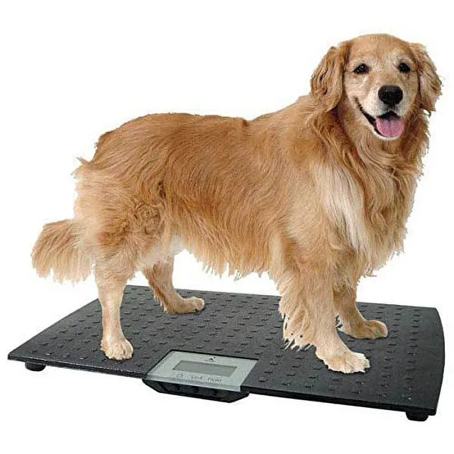 Scale 225 lbs 55 lbs 1.2 lbs