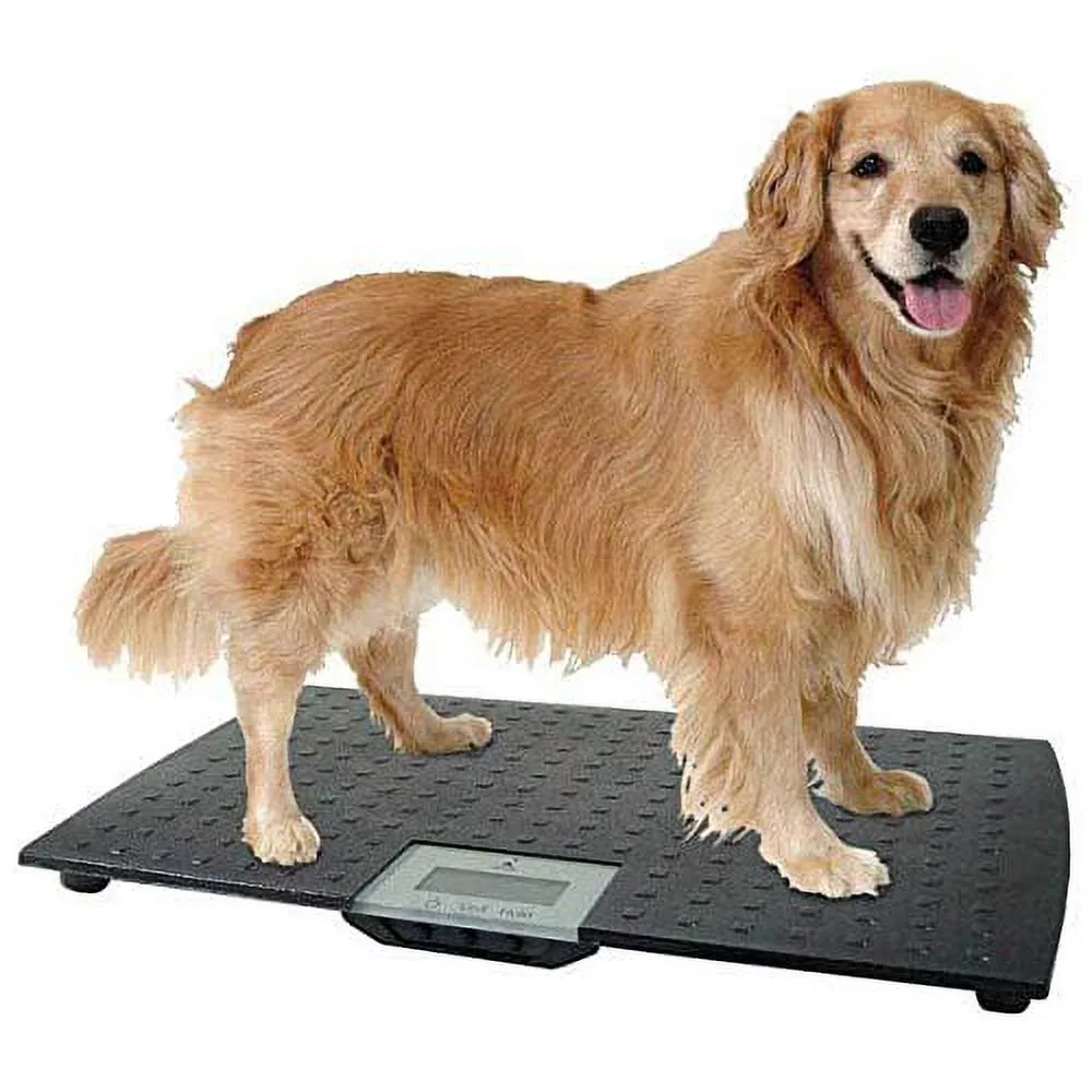 Scale 225 lbs 55 lbs 1.2 lbs