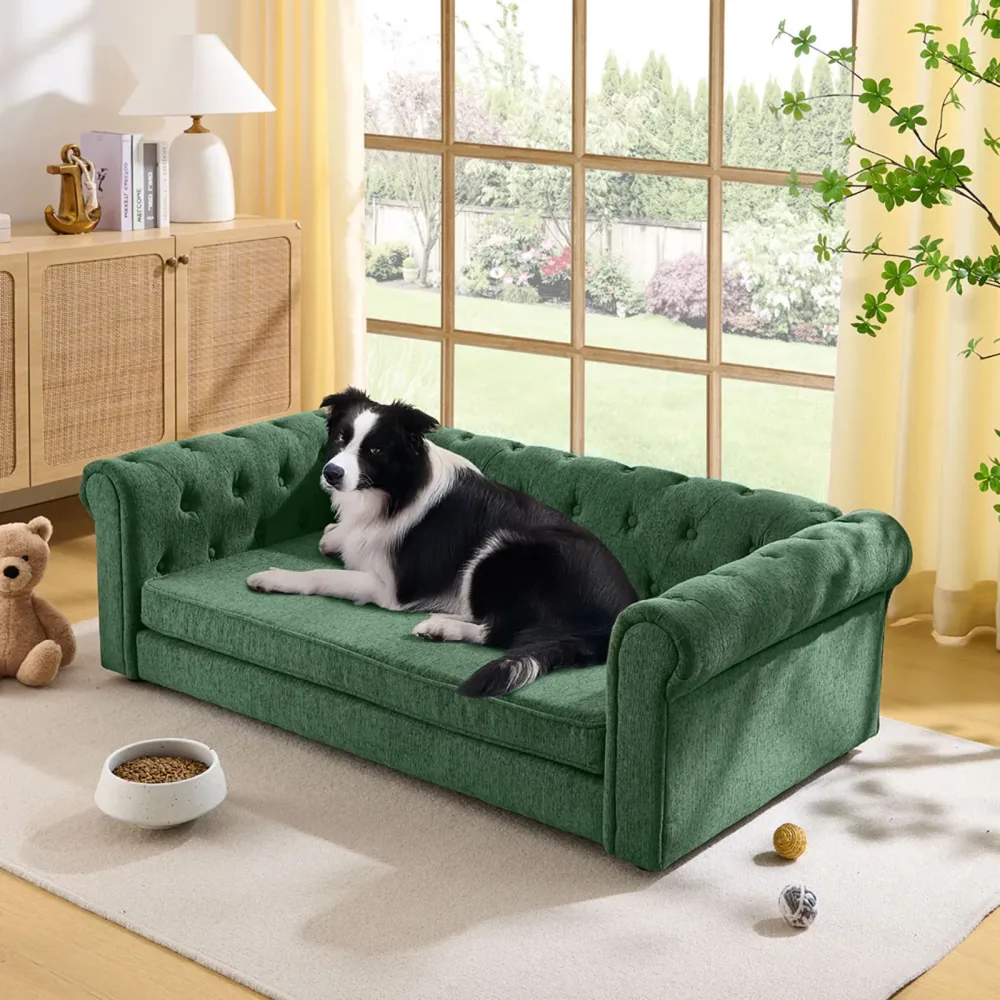 Sofa Bed blue green 55.00 inches