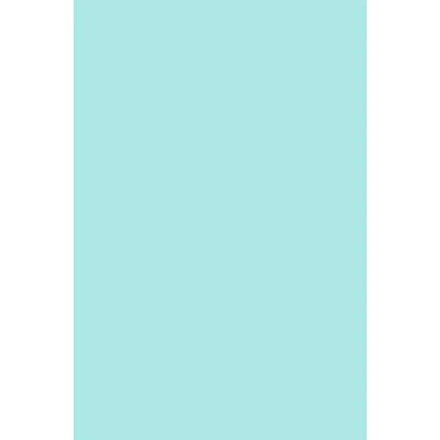 Paper 80lb blue
