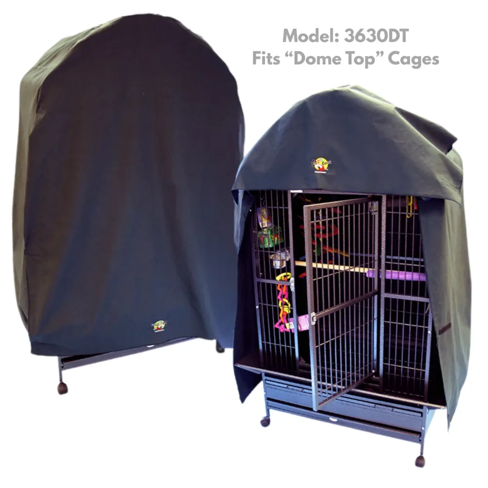 Parrot Bird 60" 34" 36"