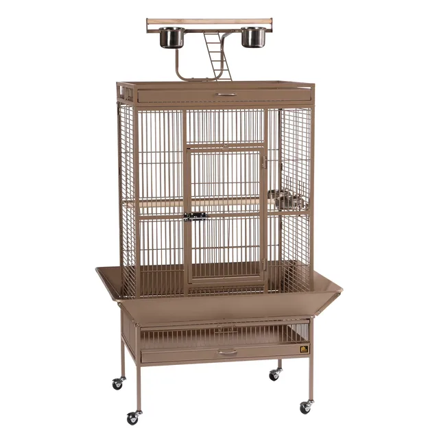 Bird 30" 22" 63"