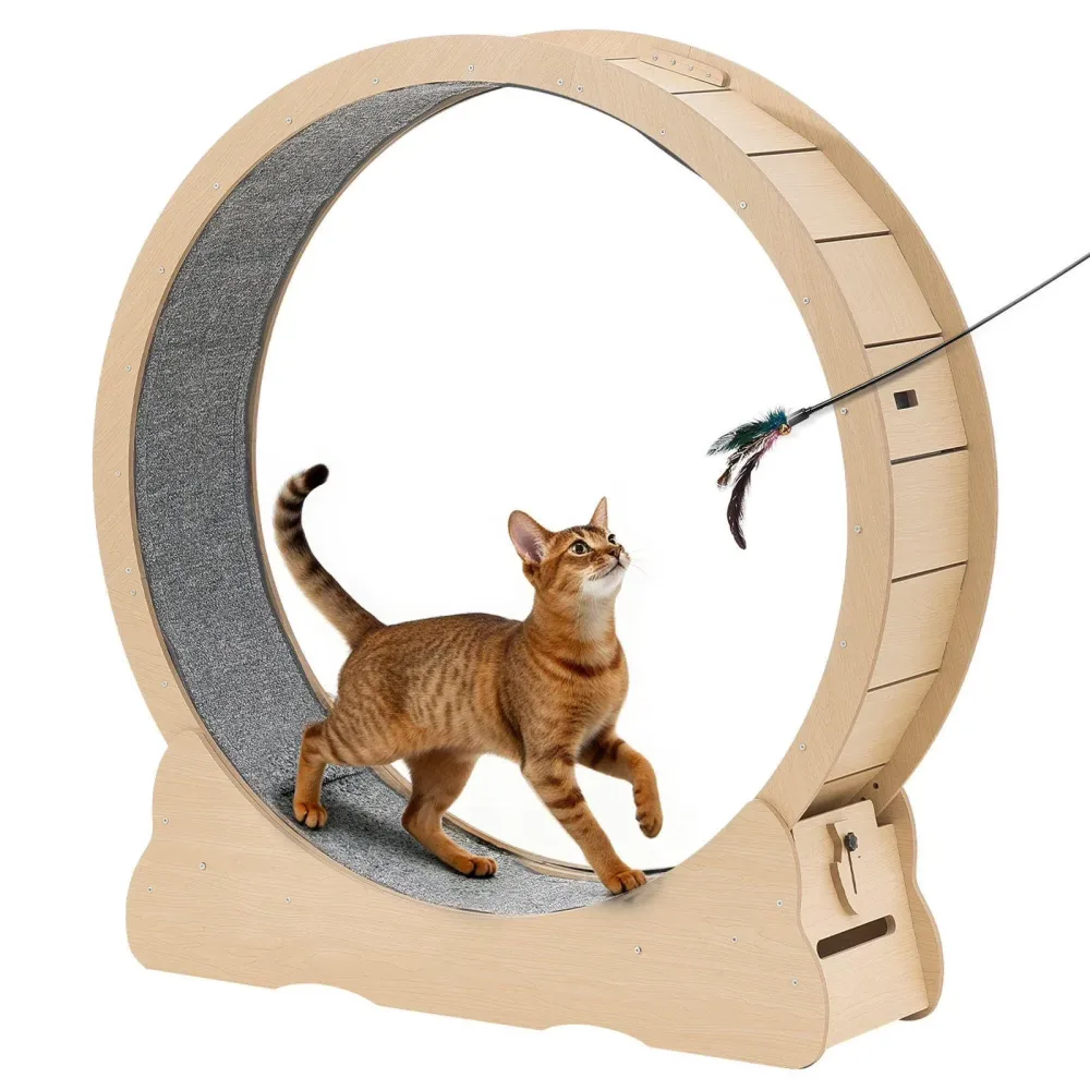 Exercise Wheel 48 inch 28 lbs locking