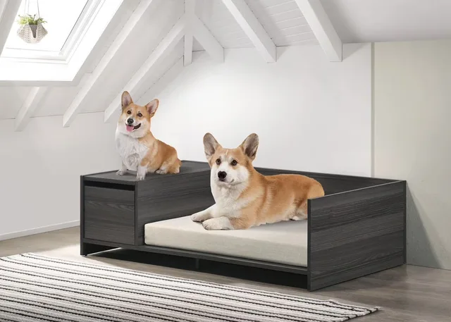 Dog Bed 47" gray 33.3"