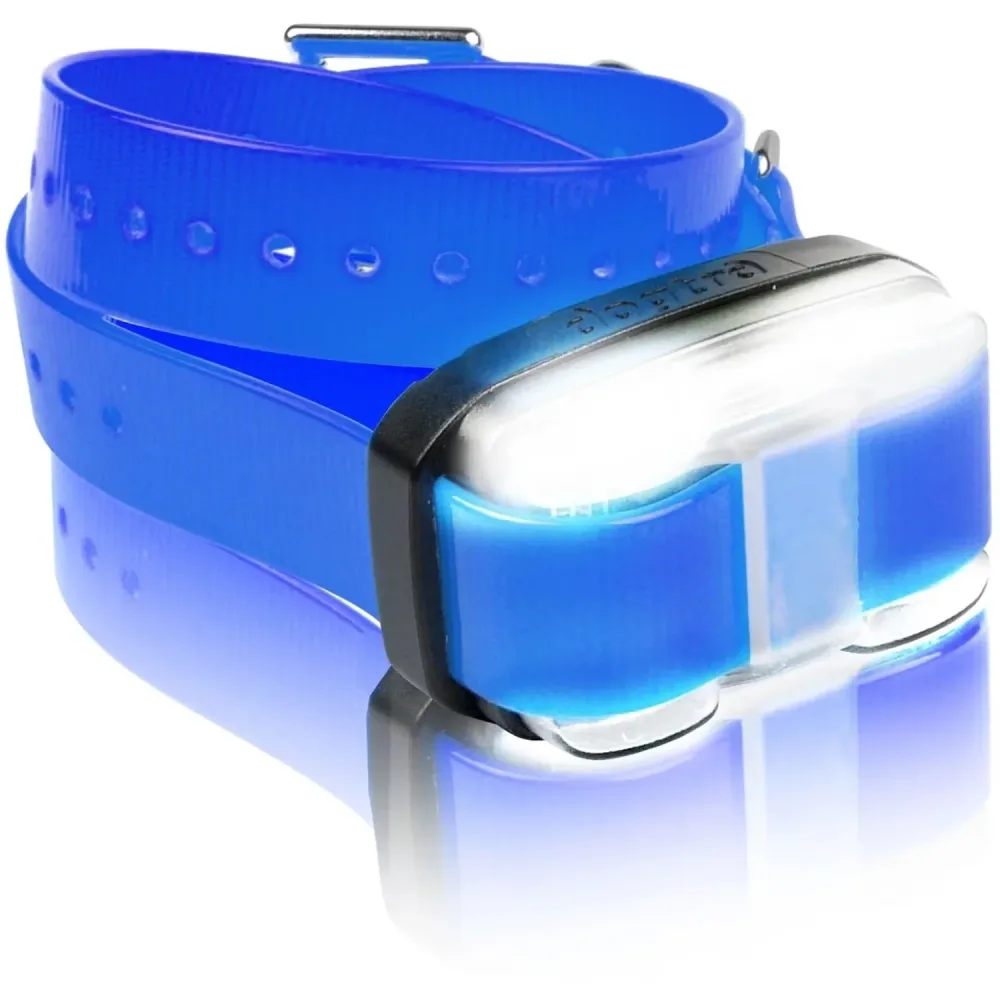 Collar blue 4 oz 3.1"