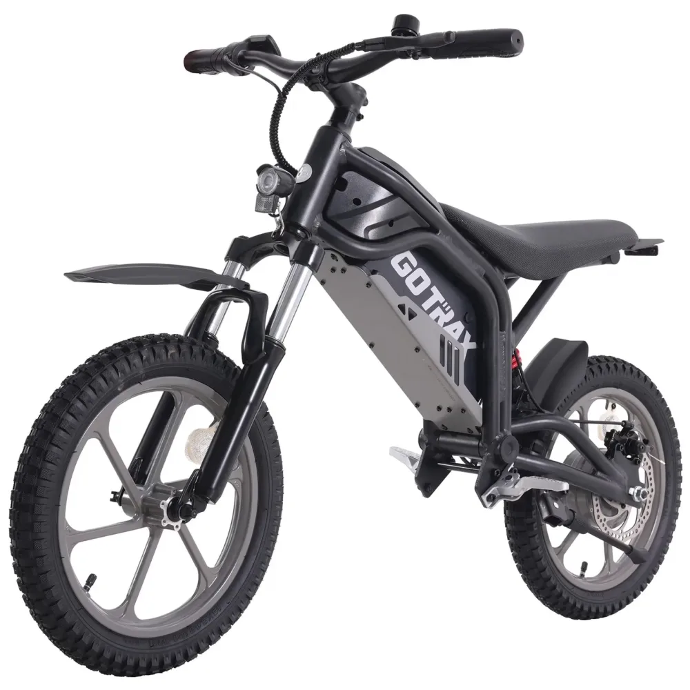 Dirt Bike 36v 16" black