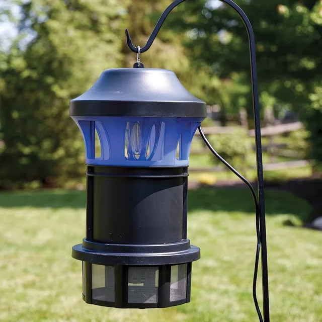 Insect 110v black yellow