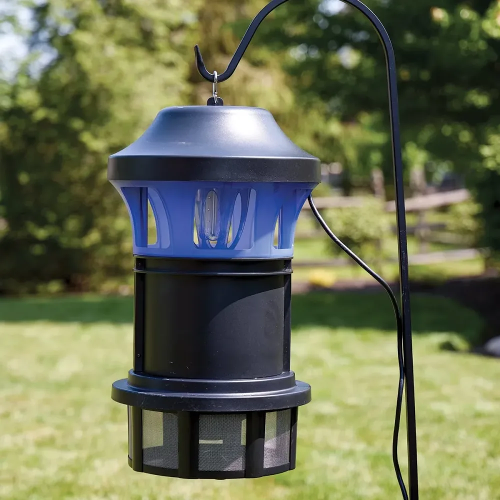 Insect 110v black yellow