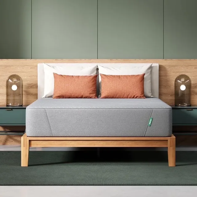 Foam Mattress 12" 10 in