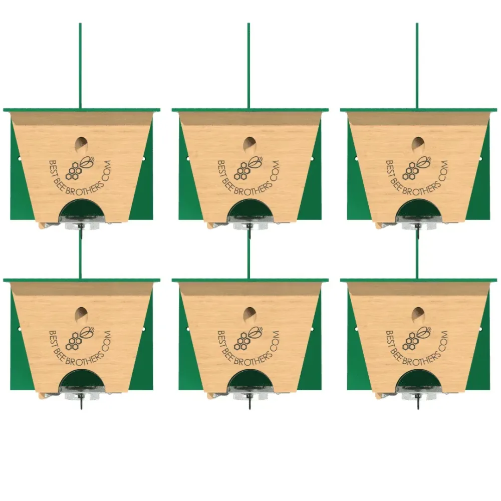 Trap 6 pack 15 ft 9 ft