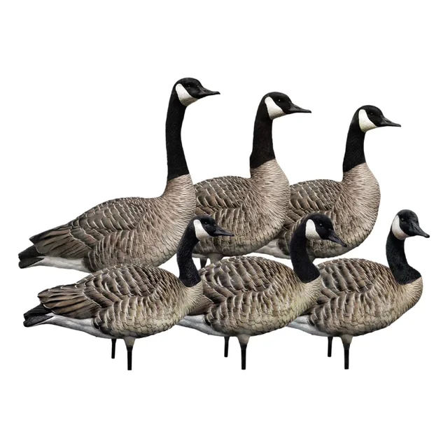Hunting 16.50 inches 20 pounds 6pack