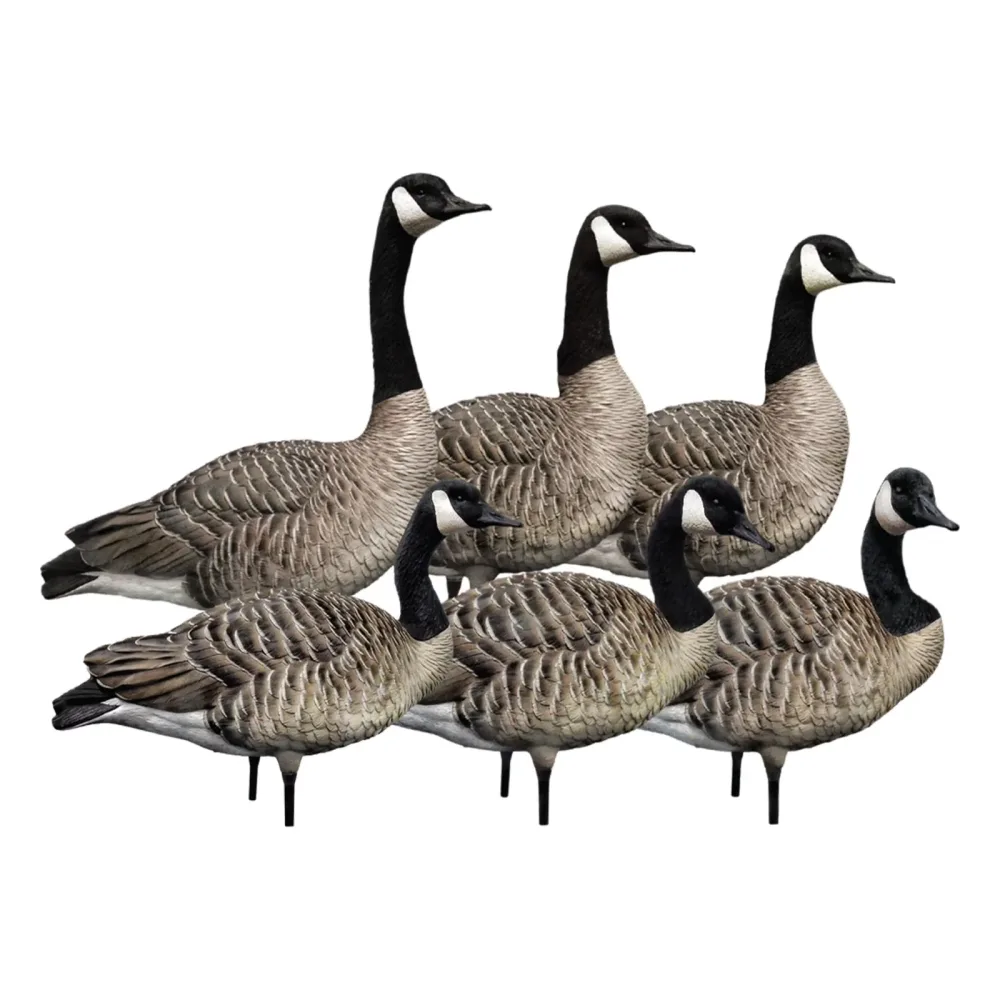 Hunting 16.50 inches 20 pounds 6pack