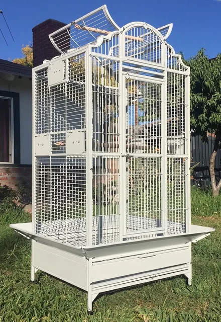 Bird Parrot 28" 22" 63"