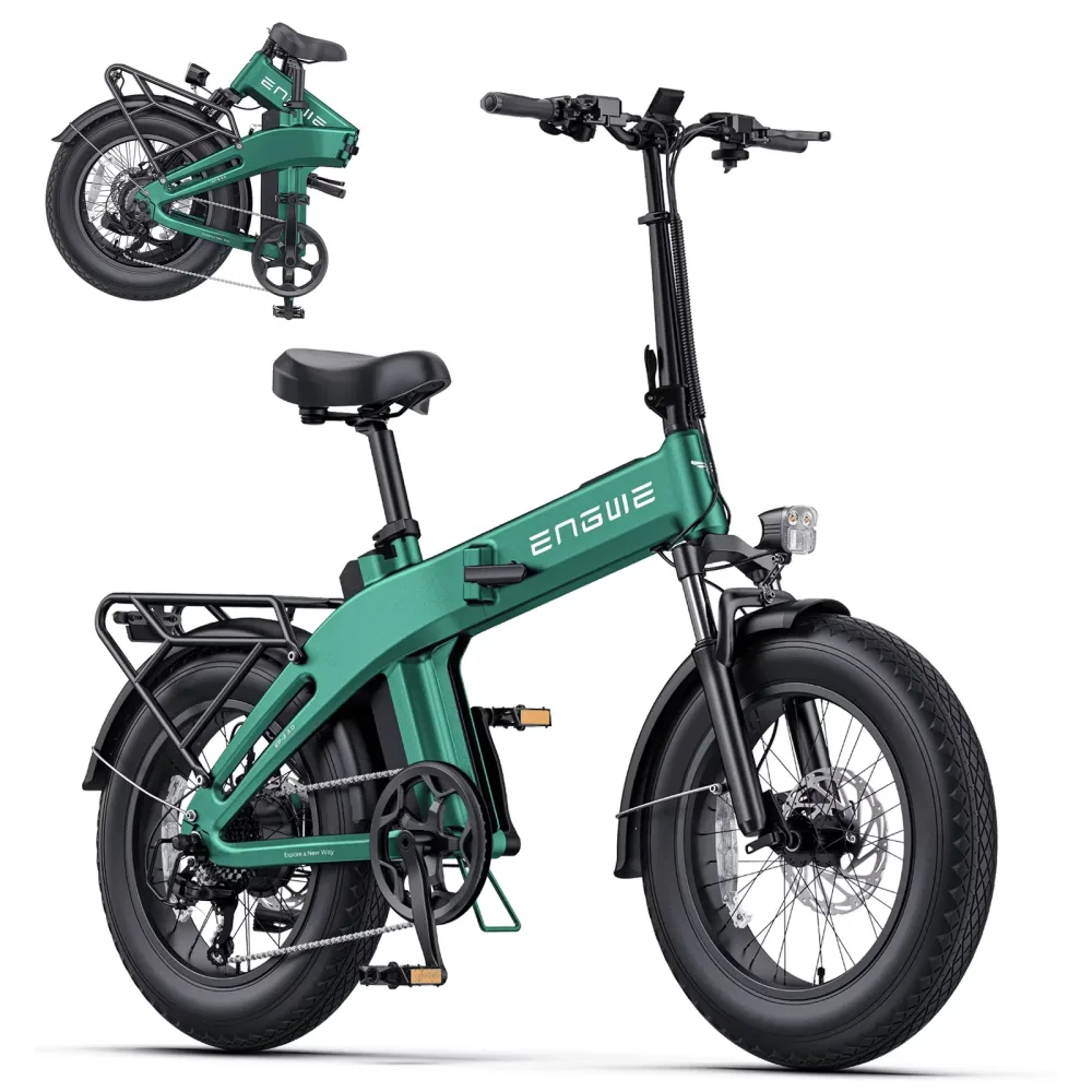 Electric Bike 750w 48v folding