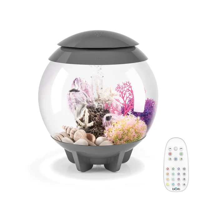 Light 4 gallon gray grey