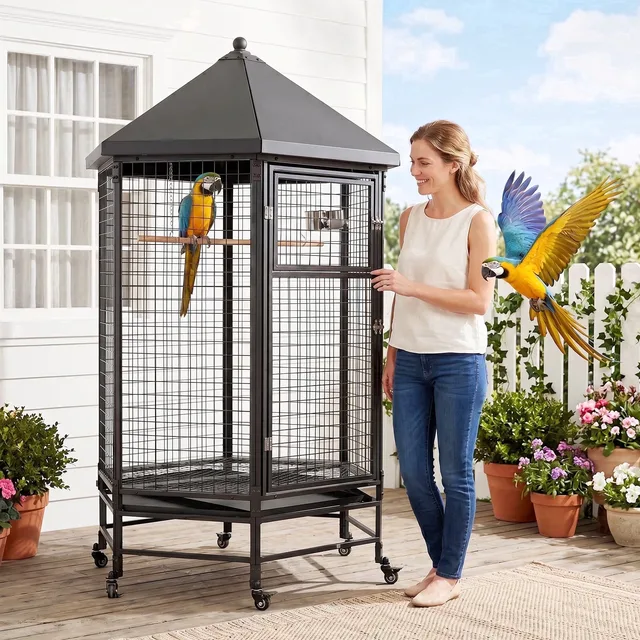 Metal Bird 69" 39.4" 68.95"