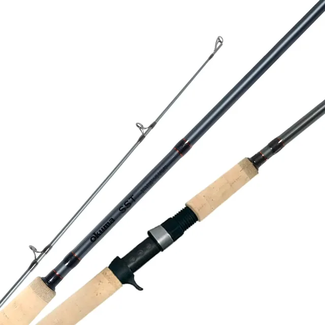 Spinning Rod 9' 0" 2"