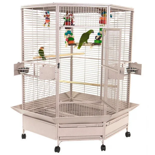 Bird Care 74 in