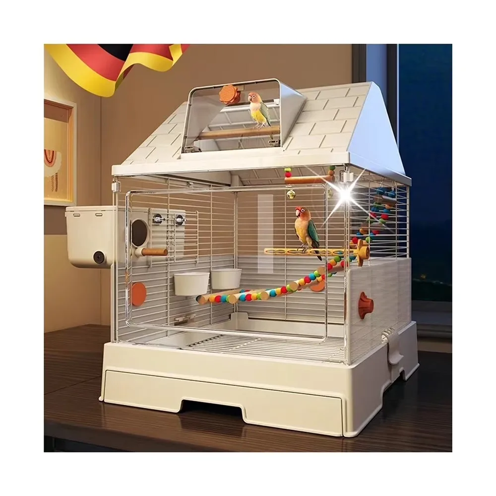 Bird