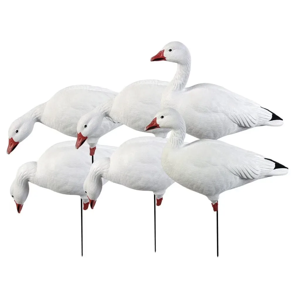 Hunting Gear 6 pack