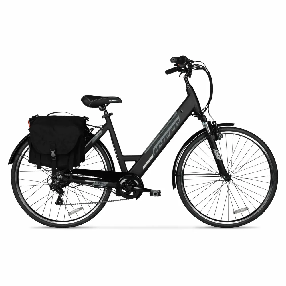 Electric Commuter 36v 250w black