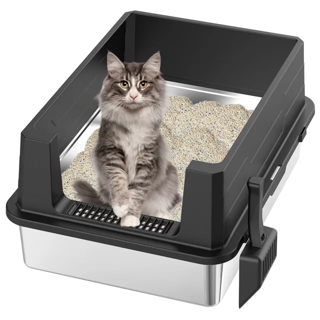 Cat Litter
