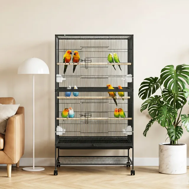 Bird Flight 60 inch 60 " grey