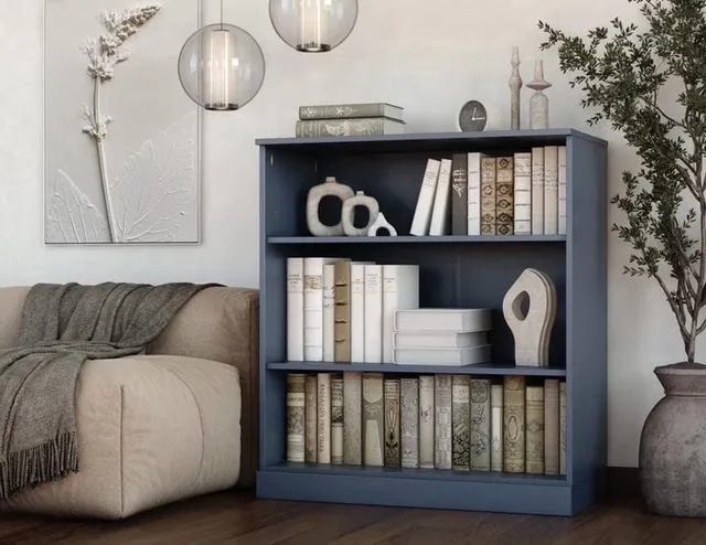 Shelf adjustable black blue