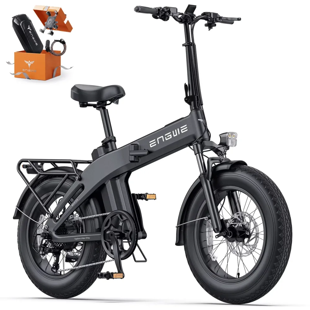 Electric Bike 750w 48v folding
