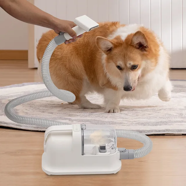 Pet Grooming white 110-120v 350w