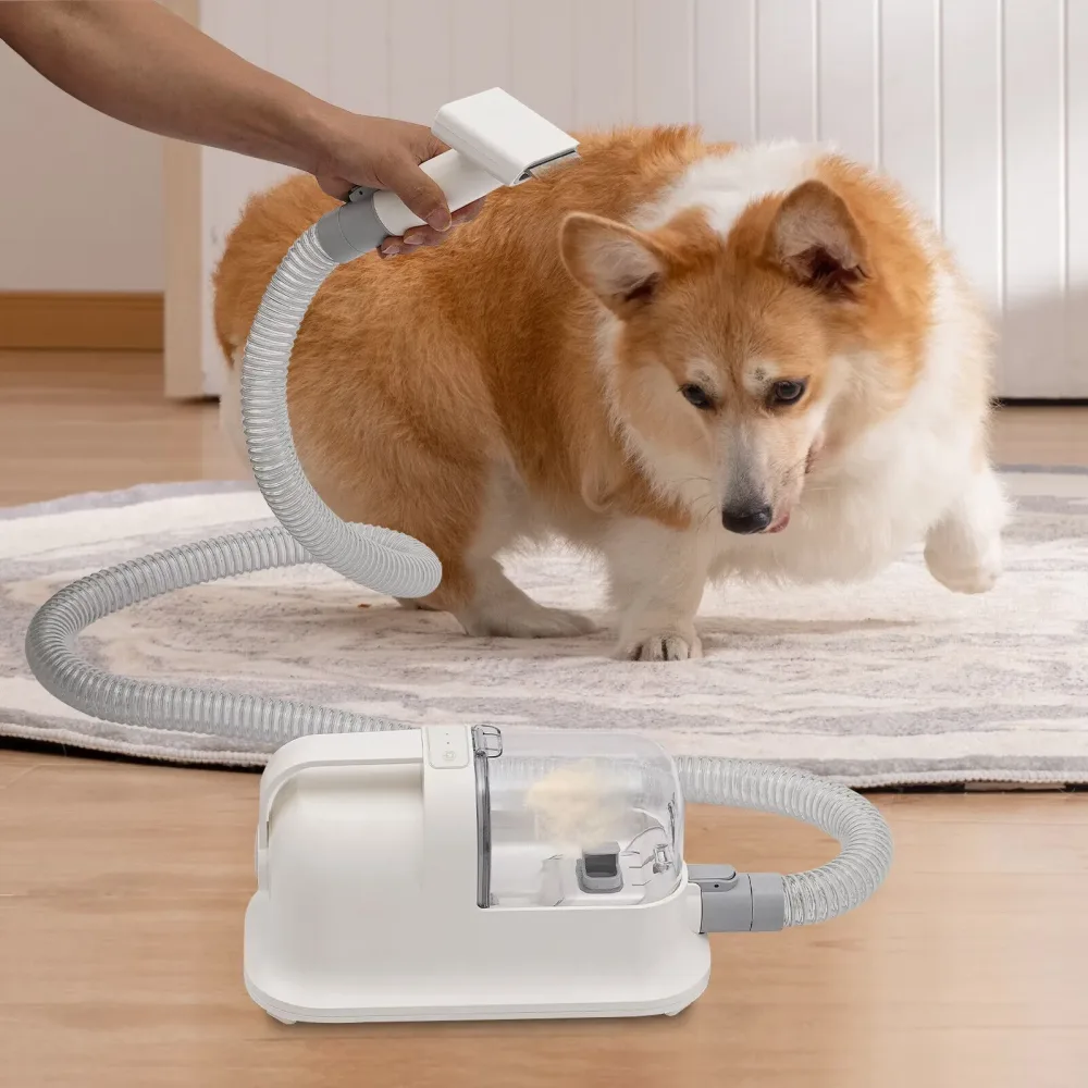 Pet Grooming white 110-120v 350w
