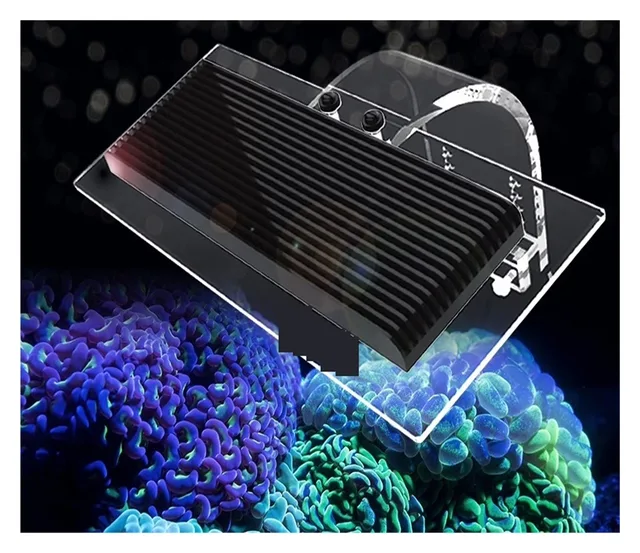 Reef Tank led white blue