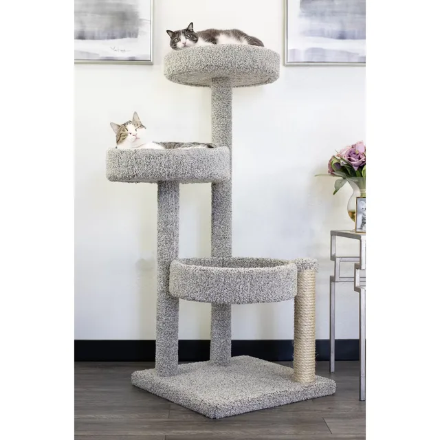 Furniture & Enrichment