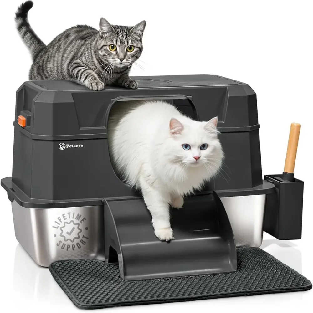 Cat Litter gray black