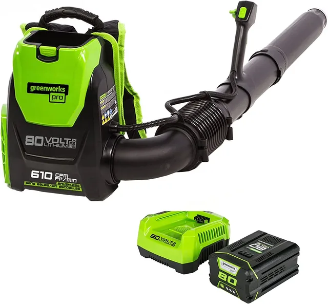 Battery Charger 80v