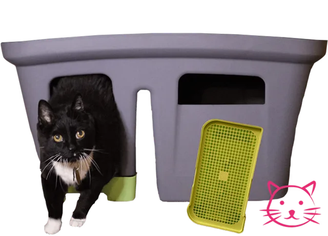 Litter Box 12" 16" 15lbs