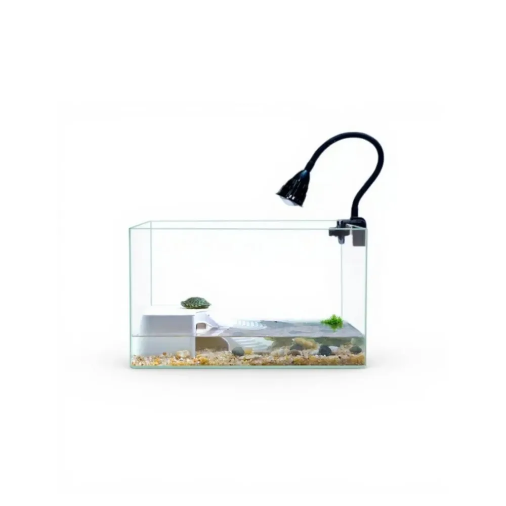 Turtle Tank