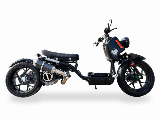 Scooter black 200 pounds 14"