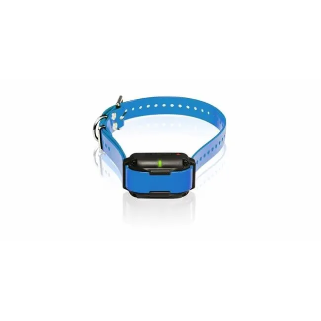 Extra Collar blue 8" 4"