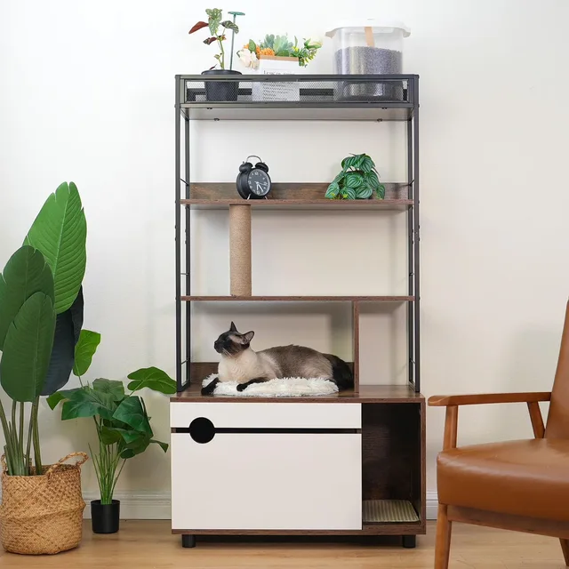 Box Furniture