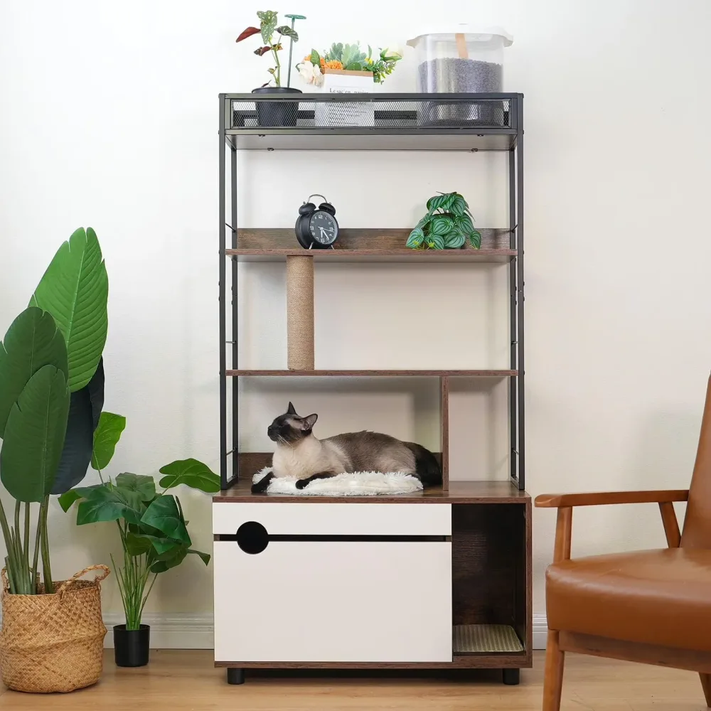 Box Furniture