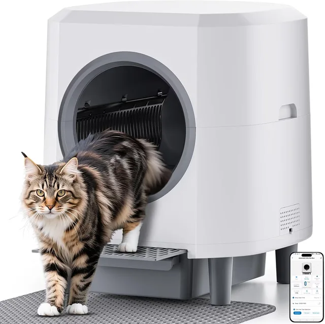 Cat Litter