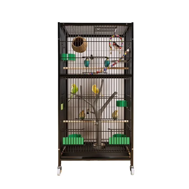 Bird Cage