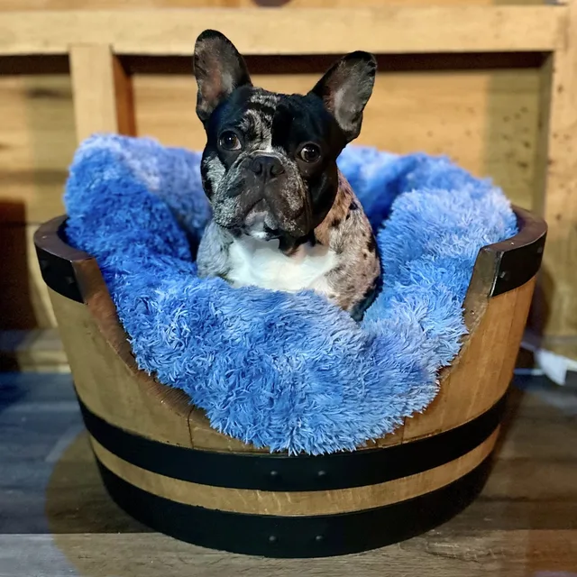 Dog Bed 25" tan 9"