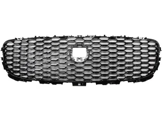 Grille black