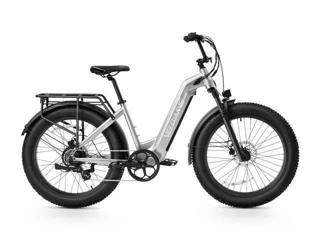 Electric Bike 26" 750w 48v