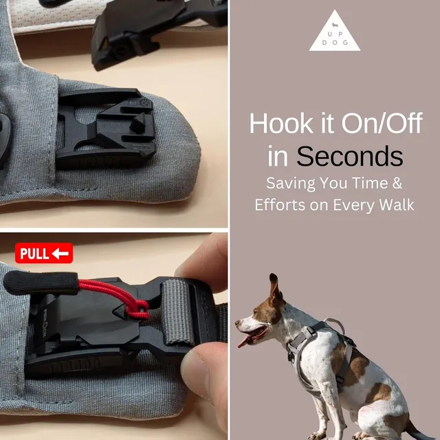 Collars & Travel adjustable 15-30 lbs heavy-duty