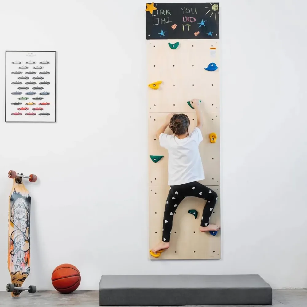 Backyard Play 24" 82.5" 23.6"