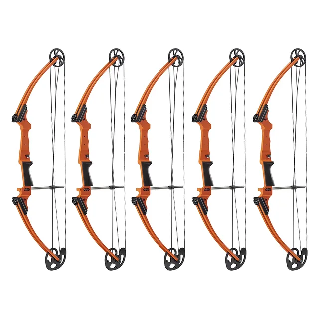 Compound Bow 5 pack adjustable 30"