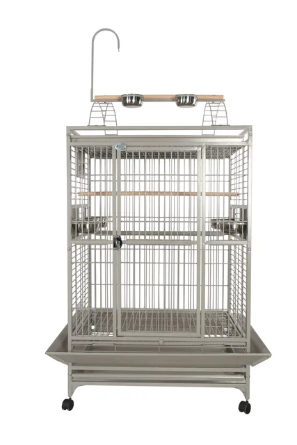 Bird Care 48" 1"